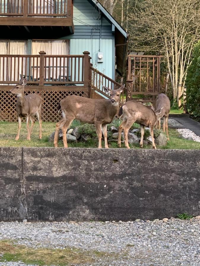 Seas The Day House 5 Star Hottub Pets Bbq Fire Premier Location Gibsons Exterior foto